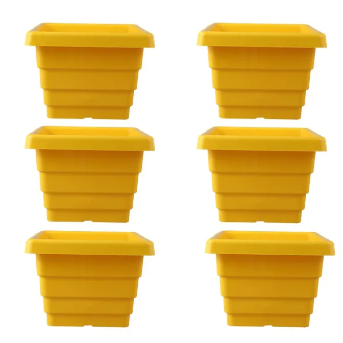 Set of 06 - 4 Inch Yellow Premium Orchid Square Plastic Pot
