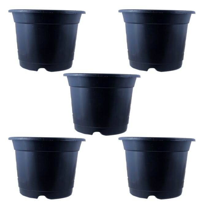 Set of 05 - 8 Inch Black Nursery Pot