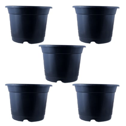 Buy Set of 05 - 8 Inch Black Nursery Pot Online | Urvann.com