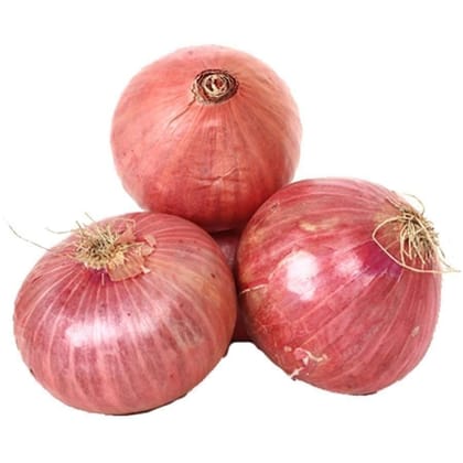 Buy Onion Seeds - Excellent Germination Online | Urvann.com