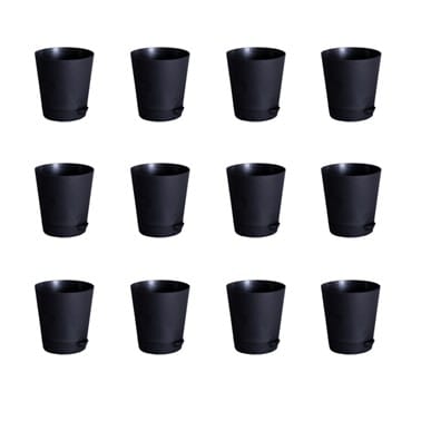 Buy Set of 12 - 4 Inch Black Florence Self Watering Pot Online | Urvann.com