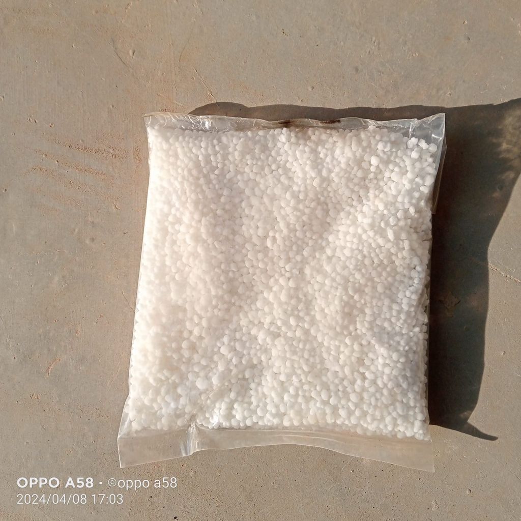 Buy Calcium nitrate - 200g Online | Urvann.com Calcium Nitrate - 200G