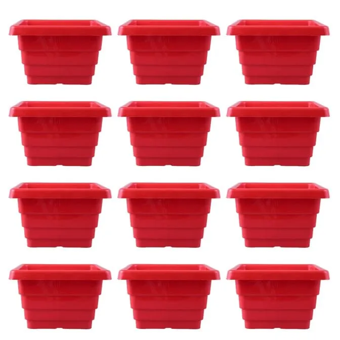 Set of 12 - 4 Inch Red Premium Orchid Square Plastic Pot