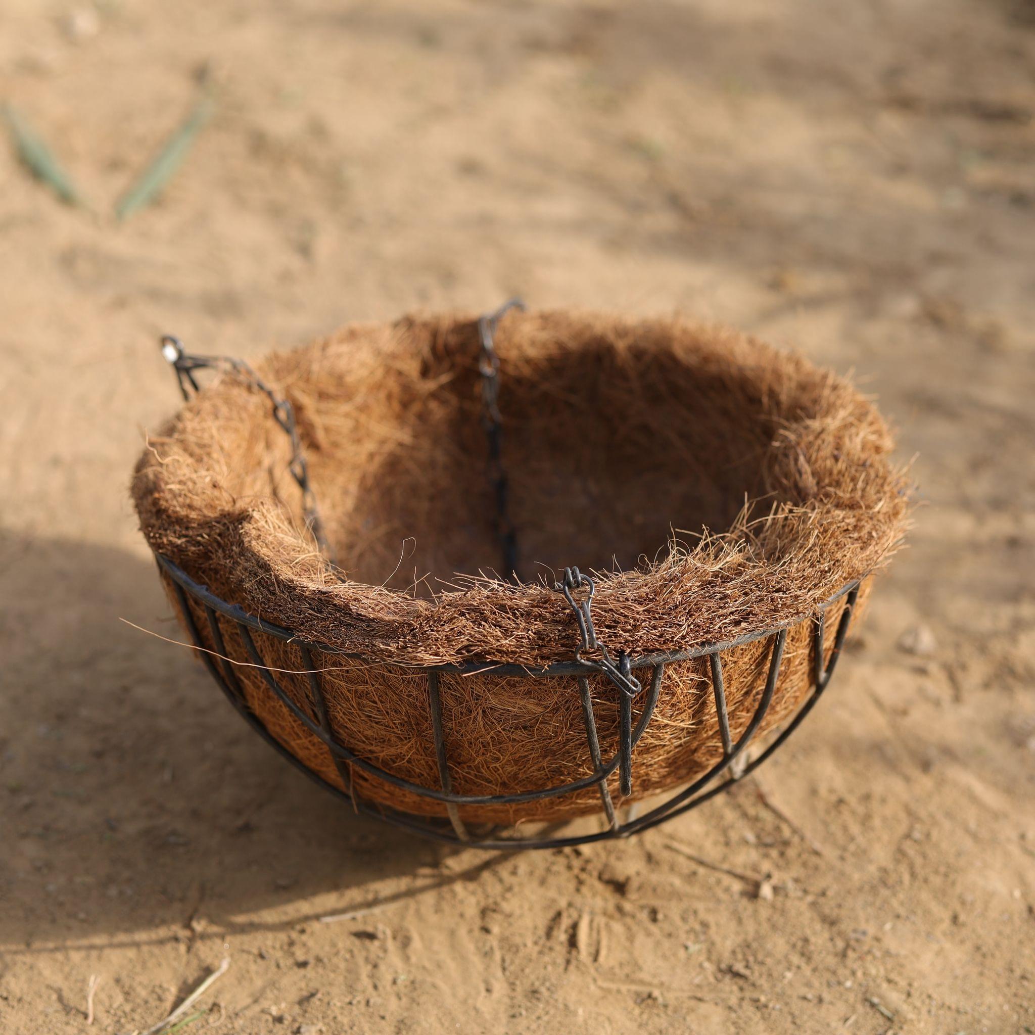 8 Inch Coco Hanging Basket