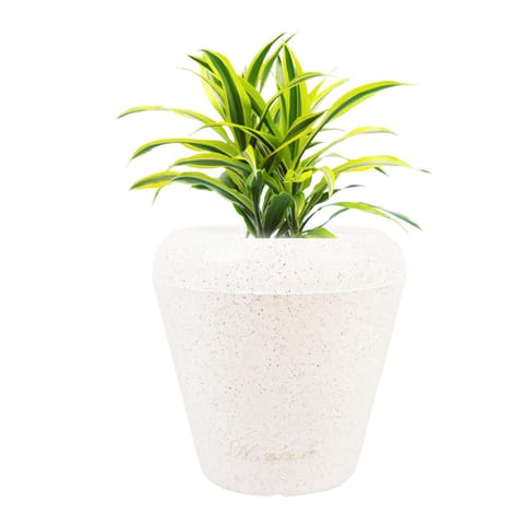 13 X 14 Inch White Premium Milo Fiberglass Planter - Durable large size decoratiive fiber pot for indoor outdoor plants with 5 year warranty