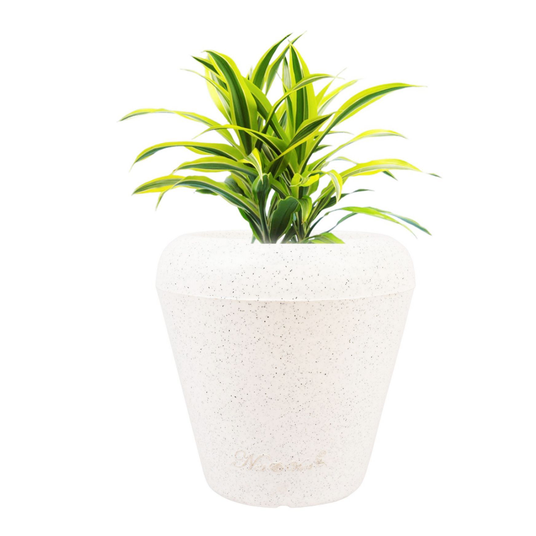 13 X 14 Inch White Premium Milo Fiberglass Planter - Durable large size decoratiive fiber pot for indoor outdoor plants with 5 year warranty