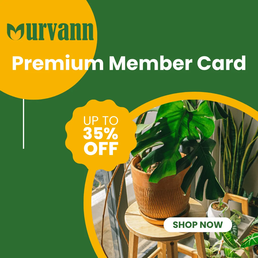 1 Year Urvann Premium Membership Card- Get INR 500 loyalty points + Flat 20% off and 15% cashback on all orders (Rs. 1 per day for 365 days)