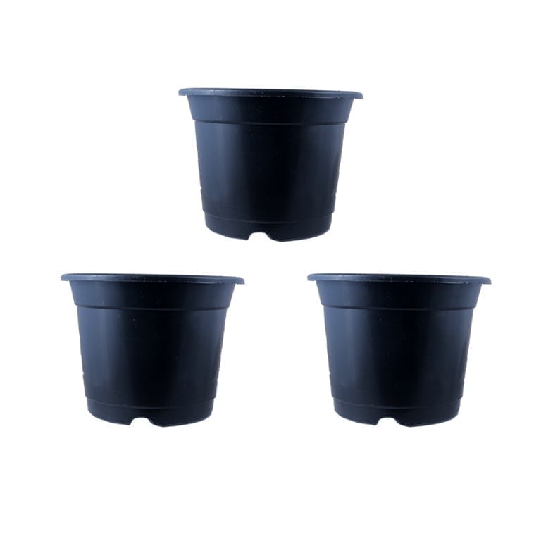 Buy Set of 03 - 4 Inch Black Nursery Pot Online | Urvann.com Set of 03 - 4 Inch Black Nursery Pot