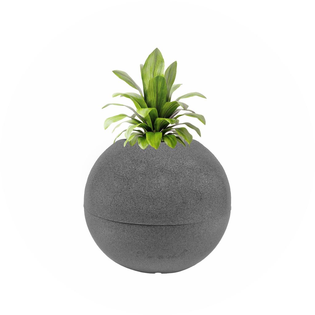Buy X 9 Inch Grey Premium llios Fiberglass Planter Online | Urvann.com 9 Inch Grey Premium llios Fiberglass Planter - Durable large size decoratiive fiber pot for indoor outdoor plants with 5 year warranty