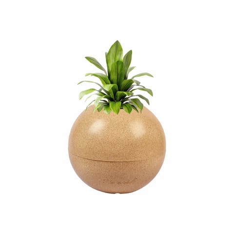 9 Inch Sandstone Premium llios Fiberglass Planter - Durable large size decoratiive fiber pot for indoor outdoor plants with 5 year warranty