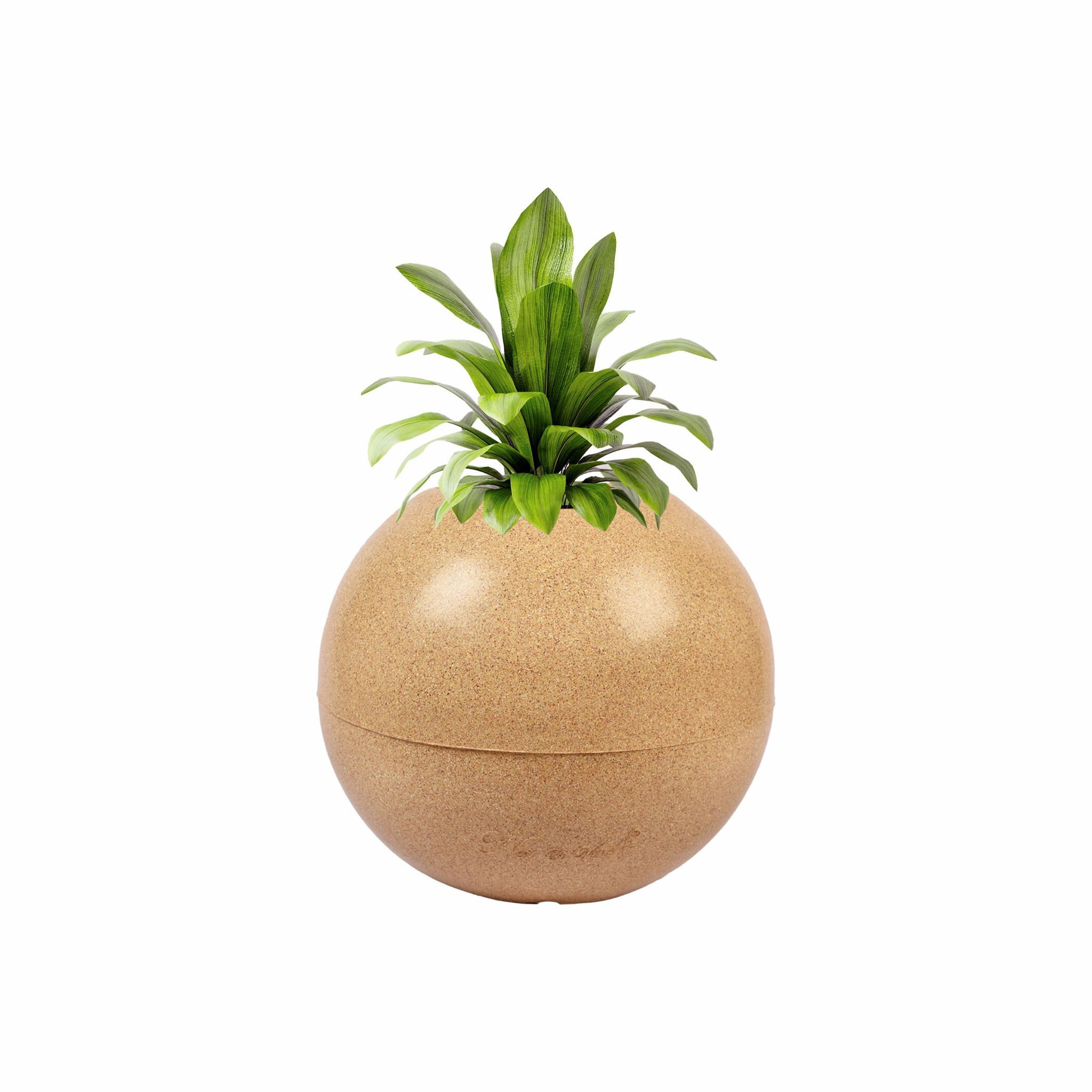 9 Inch Sandstone Premium llios Fiberglass Planter - Durable large size decoratiive fiber pot for indoor outdoor plants with 5 year warranty
