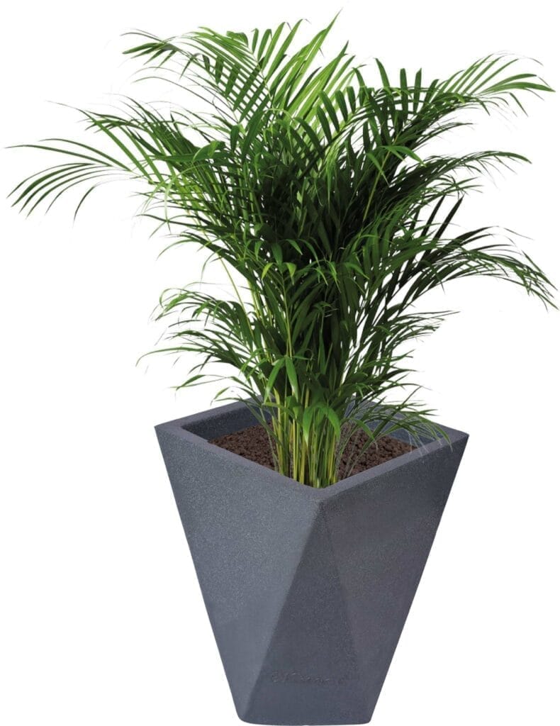 8 X 12 Inch Grey Premium Fantasia Fiberglass Planter - Durable large size decoratiive fiber pot for indoor outdoor plants with 5 year warranty