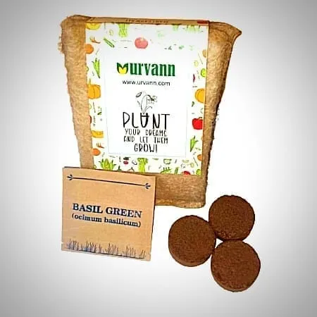 DIY Plant Grow Kit - Basil Seeds
