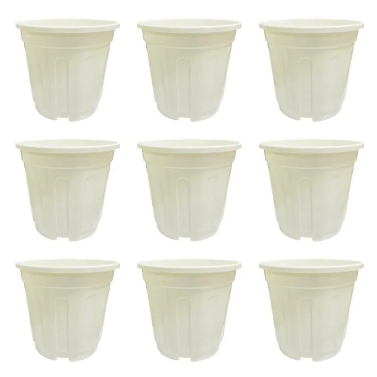 Set of 09 - 6 Inch White Super Nursery Pot