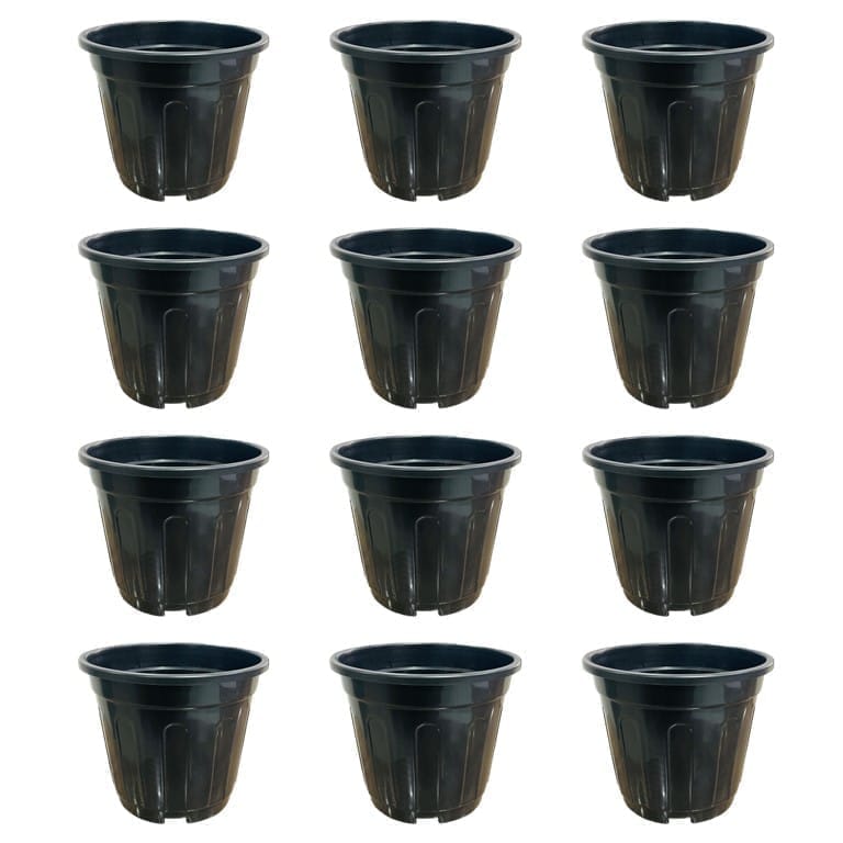 Set of 12 - 6 Inch Black Super Nursery Pot