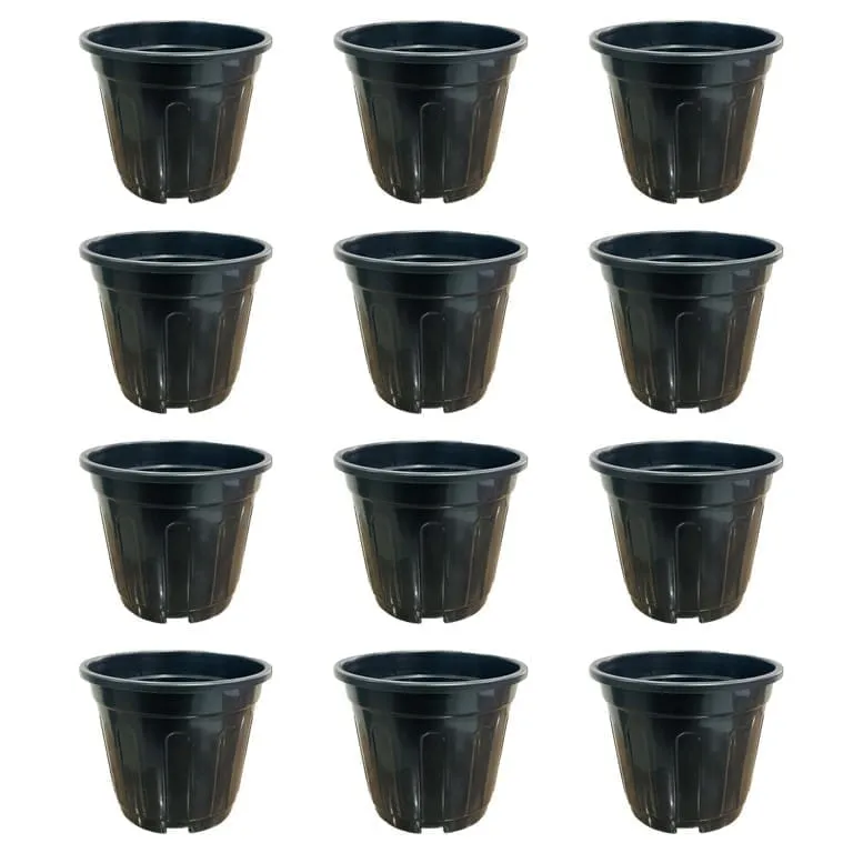 Set of 12 - 6 Inch Black Super Nursery Pot