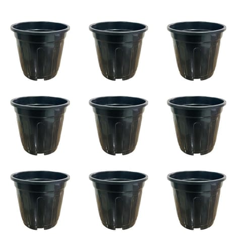 Set of 09 - 6 Inch Black Super Nursery Pot