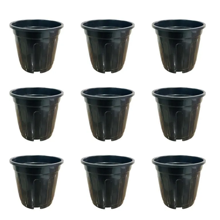 Set of 09 - 6 Inch Black Super Nursery Pot