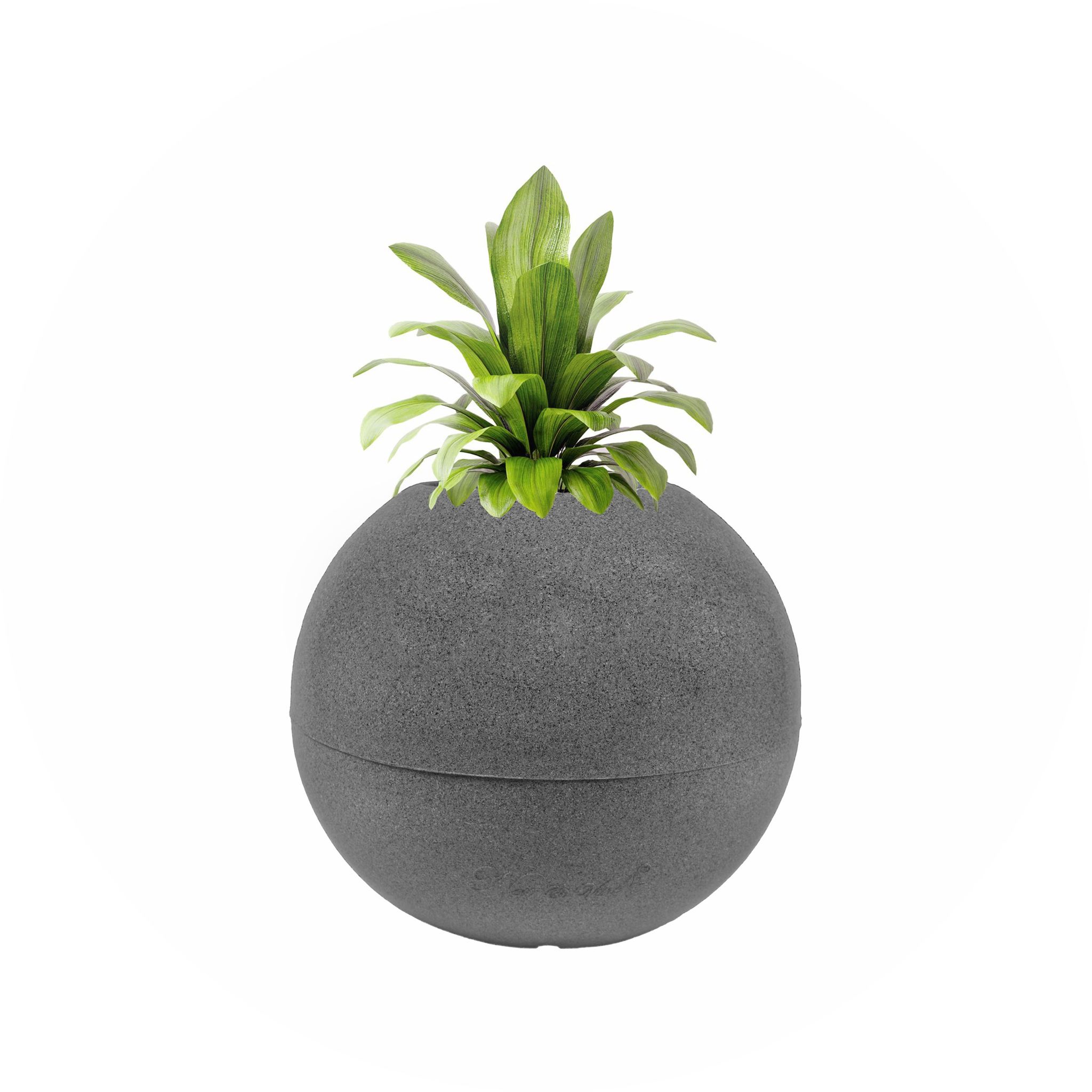 9 Inch Grey Premium llios Fiberglass Planter - Durable large size decoratiive fiber pot for indoor outdoor plants with 5 year warranty
