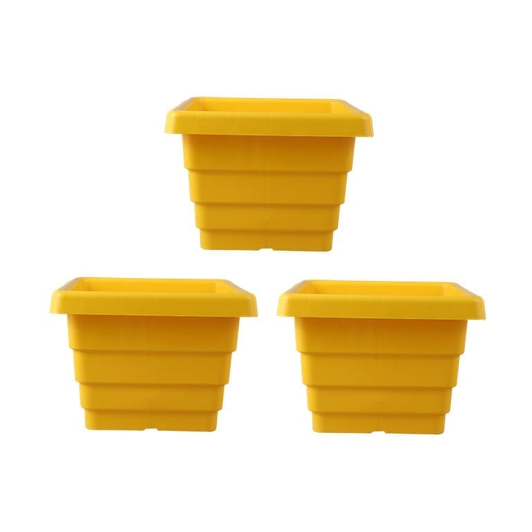 Buy Set of 03 - 4 Inch Yellow Premium Orchid Square Plastic Pot Online | Urvann.com Set of 03 - 4 Inch Yellow Premium Orchid Square Plastic Pot