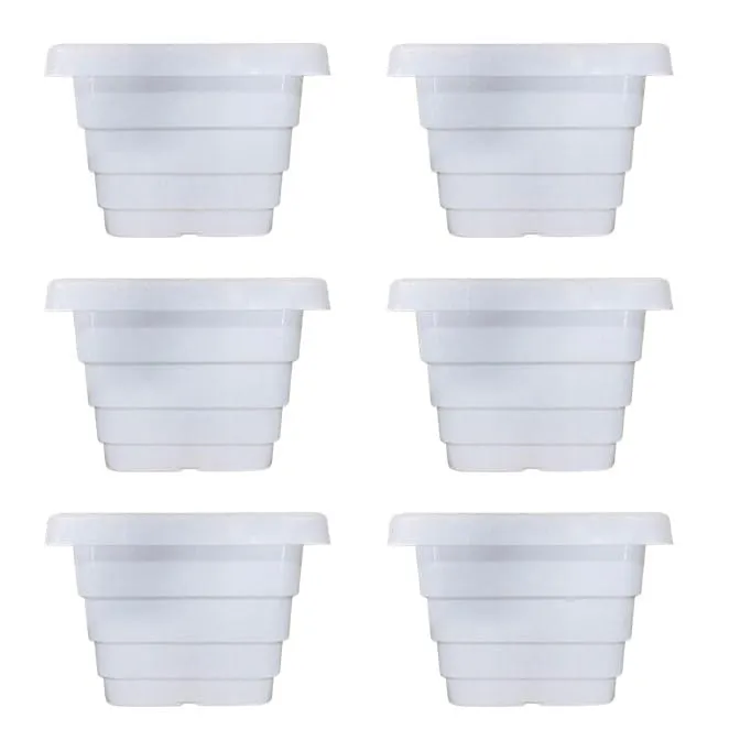 Set of 06 - 6 Inch White Premium Orchid Square Plastic Pot