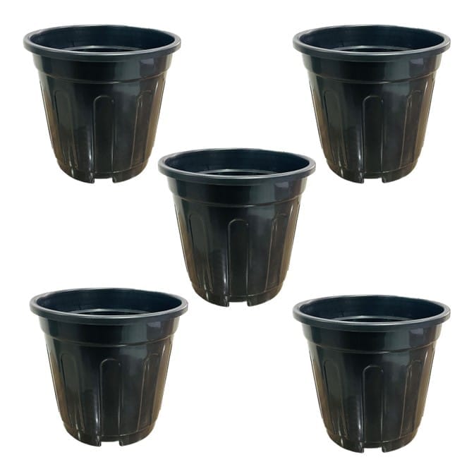Buy Set of 05 - 6 Inch Black Super Nursery Pot Online | Urvann.com Set of 05 - 6 Inch Black Super Nursery Pot