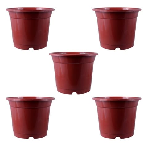 Set of 05 - 8 Inch Red Nursery Pot