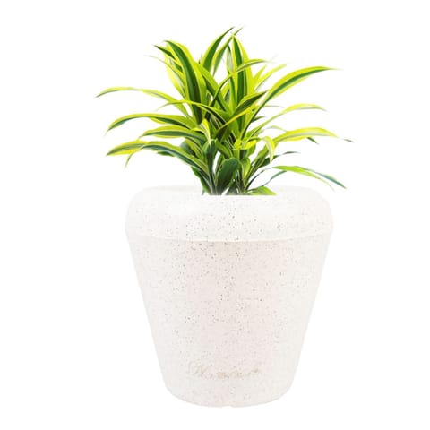 13 X 14 Inch White Premium Milo Fiberglass Planter - Durable large size decoratiive fiber pot for indoor outdoor plants with 5 year warranty