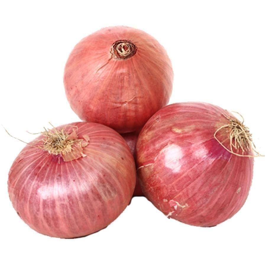 Buy Onion Seeds - Excellent Germination Online | Urvann.com Onion Seeds - Excellent Germination