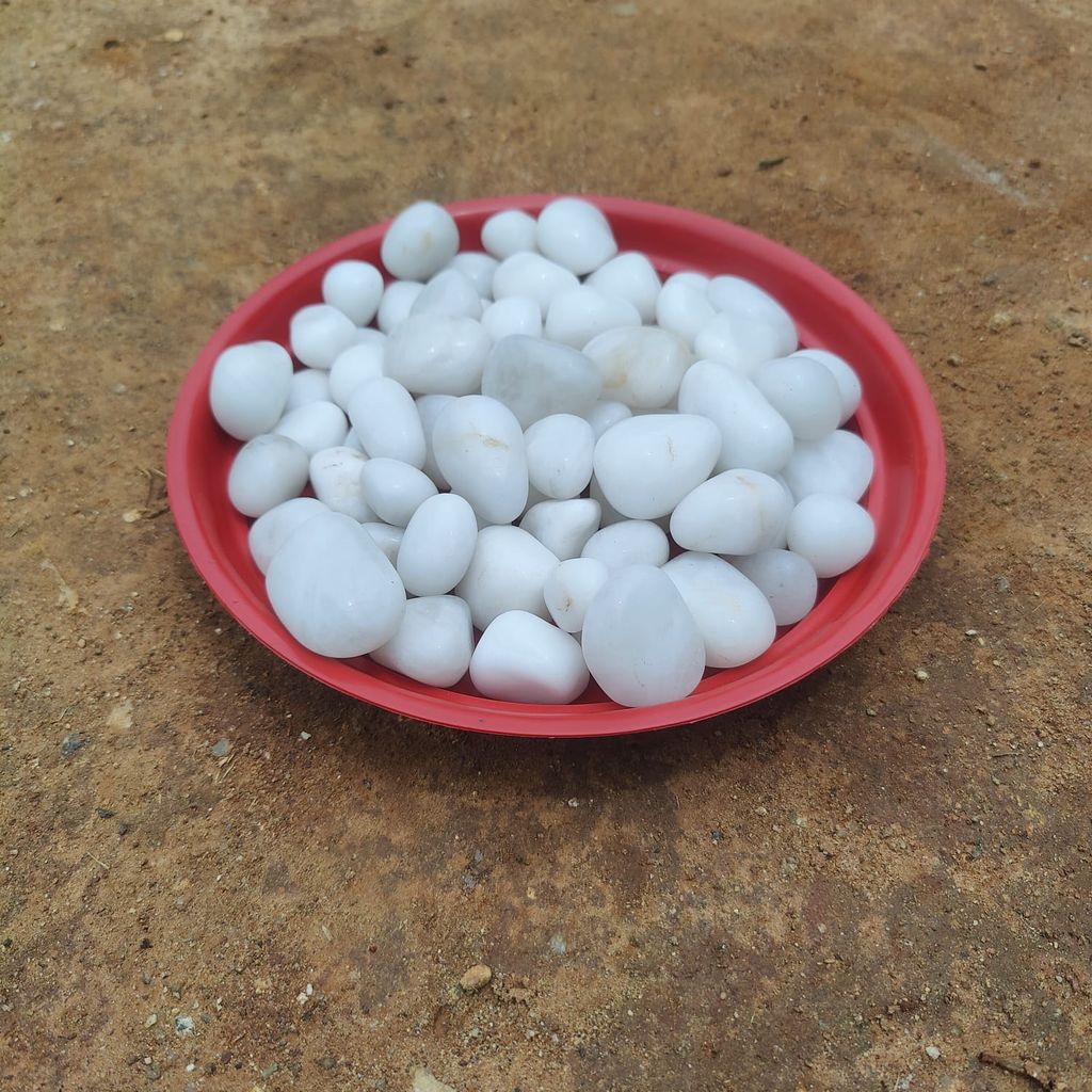Buy Decorative White Pebbles - 1 Kg Online | Urvann.com Decorative White Pebbles - 1 Kg