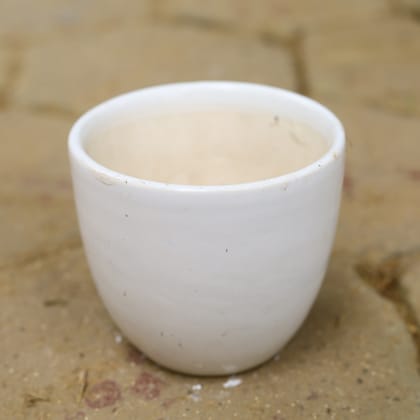 Buy 5 Inch White Cup Shape Ceramic Pot Online | Urvann.com