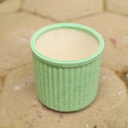Buy 5 Inch Green Designer Cylindrical Ceramic Pot Online | Urvann.com