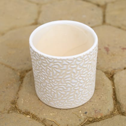 Buy 6 Inch White Designer Cylindrical Ceramic Pot (any design) Online | Urvann.com