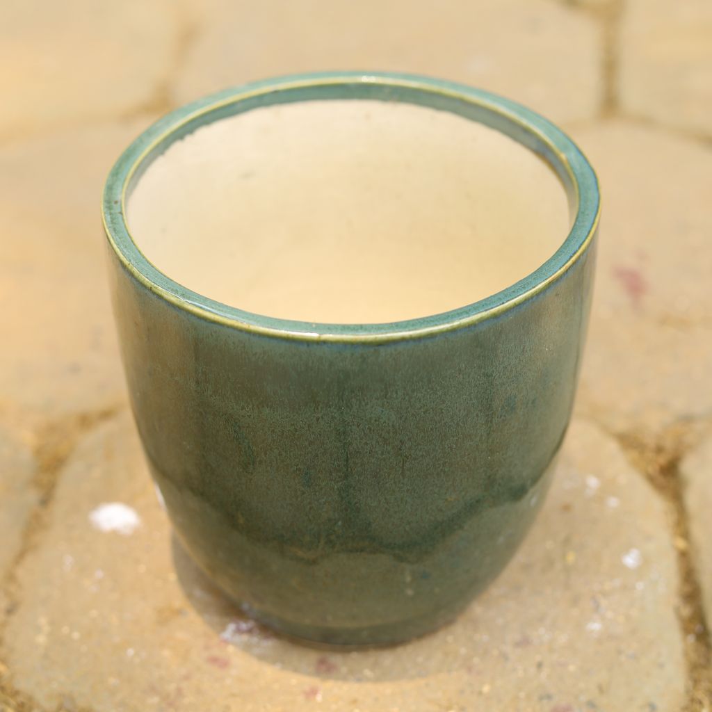 Buy 6 Inch Sea Green Cup Shape Ceramic Pot Online | Urvann.com 6 Inch Sea Green Cup Shape Ceramic Pot,Pots:Ceramic Planters:Royal Ceramic Pots