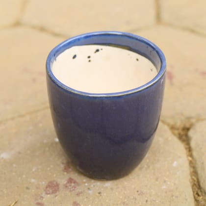 Buy 6 Inch Blue Cup Shape Ceramic Pot Online | Urvann.com