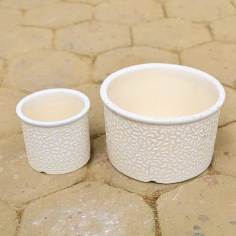 Set of 2 - (6 & 10 Inch) White Designer Bonsai Cylindrical Ceramic Pot