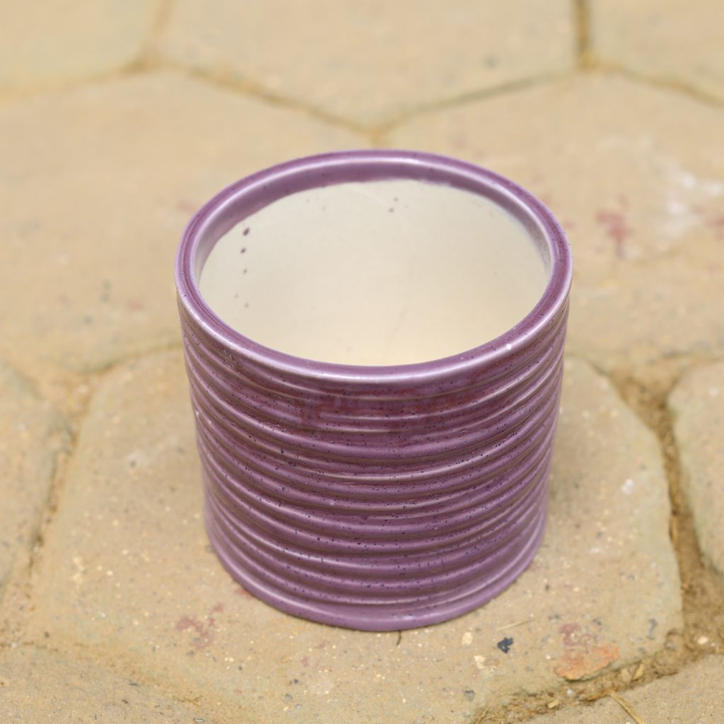 Buy 8 Inch Purple Ring Designer Cylindrical Ceramic Pot Online | Urvann.com 8 Inch Purple Ring Designer Cylindrical Ceramic Pot,Pots:Ceramic Planters:Royal Ceramic Pots