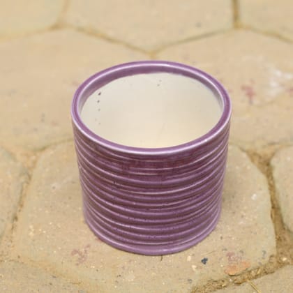 Buy 8 Inch Purple Ring Designer Cylindrical Ceramic Pot Online | Urvann.com