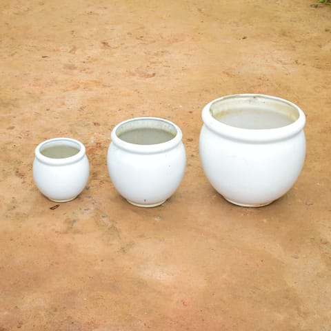 Set of 3 - (6, 9 & 12 Inch) White Matki Ceramic Pot (any colour)
