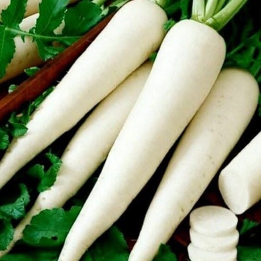 Radish White Seeds - Excellent Germination
