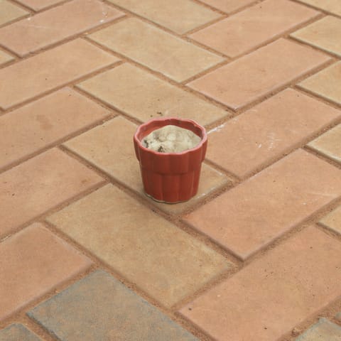 4 Inch Flower Designer Ceramic Pot (Any Colour)