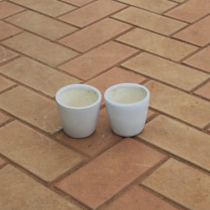 Buy Set Of 2 - 3 Inch White Cup Shape Ceramic Pot Online | Urvann.com