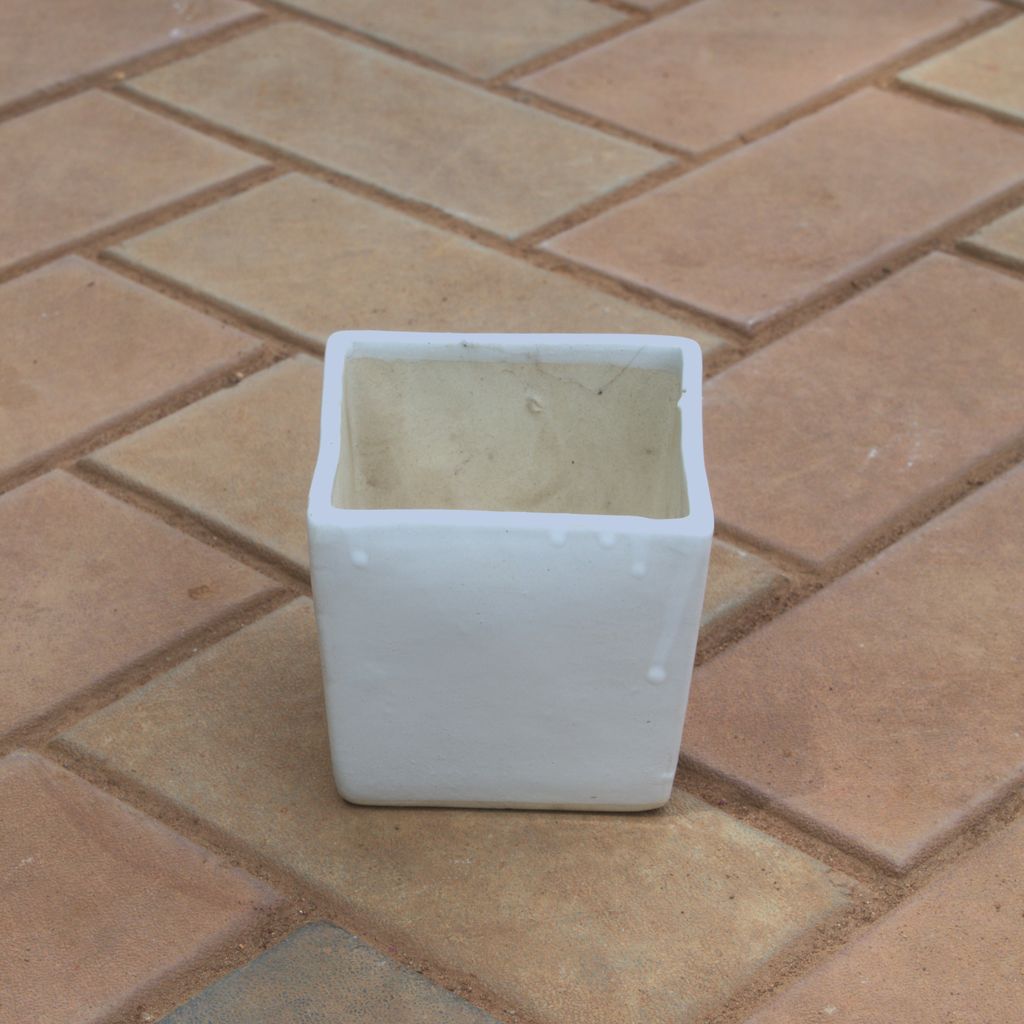 Buy 5 Inch Square Shape Ceramic Pot Online | Urvann.com 5 Inch Square Shape Ceramic Pot