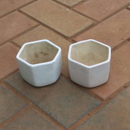 Buy Set Of 2 - 4 Inch White Hexagonal Designer Ceramic Pot Online | Urvann.com