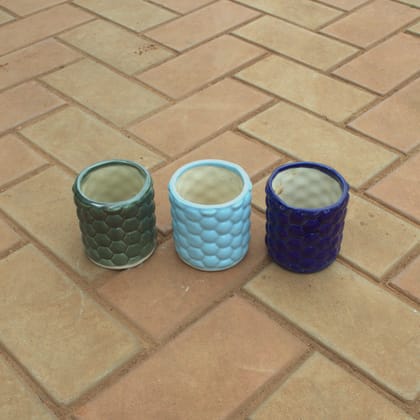 Buy Set Of 3 - 3 Inch Honeycomb Designer Ceramic Pot (Any Colour) Online | Urvann.com