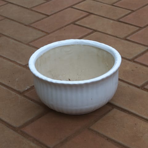 8 Inch Round Bonsai Ceramic Pot