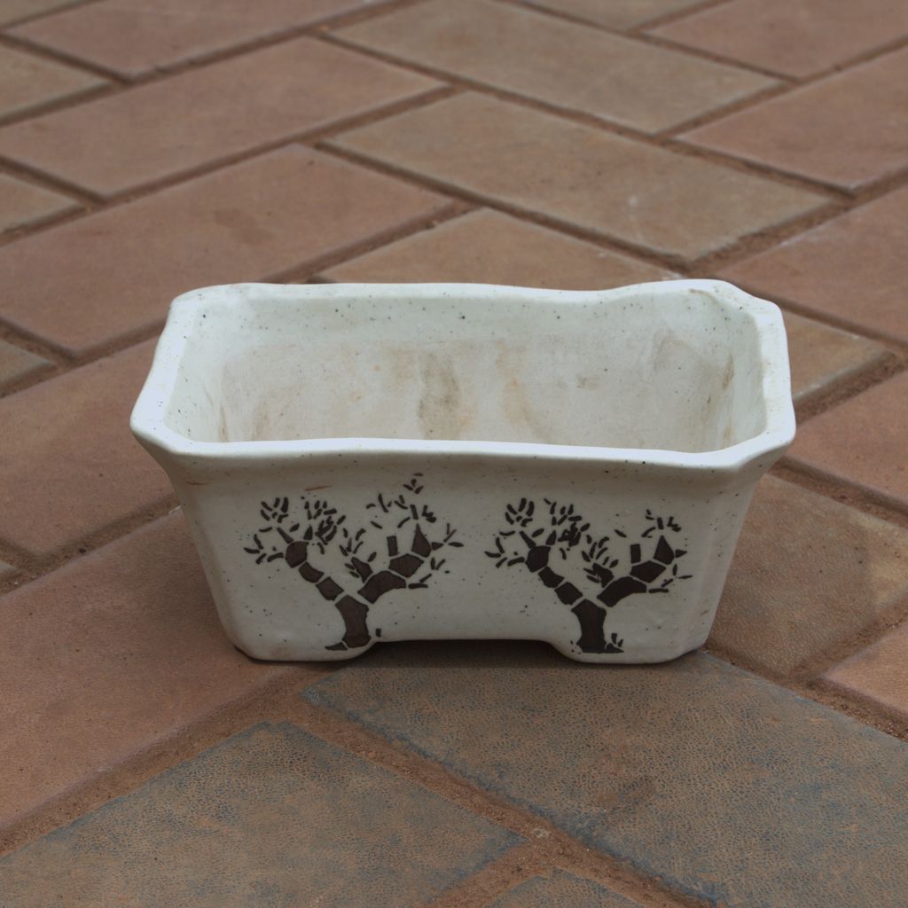 Buy 4 Inch Rectangular Bonsai Tray (Any Colour) Online | Urvann.com 4 Inch Rectangular Bonsai Ceramic Tray (Any Colour)