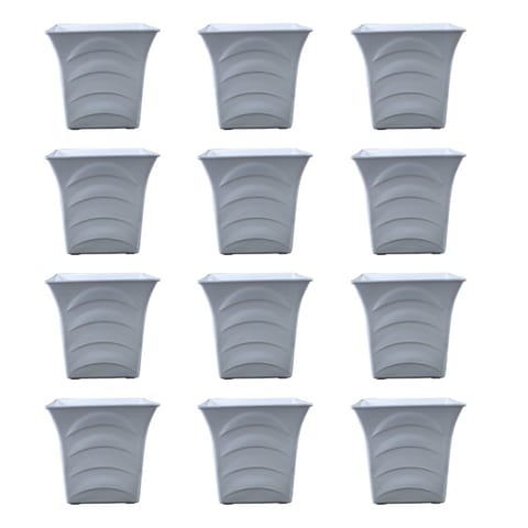 Free Next Day Delivery | Set of 12 - 08 Inch White Premium Pragati ...