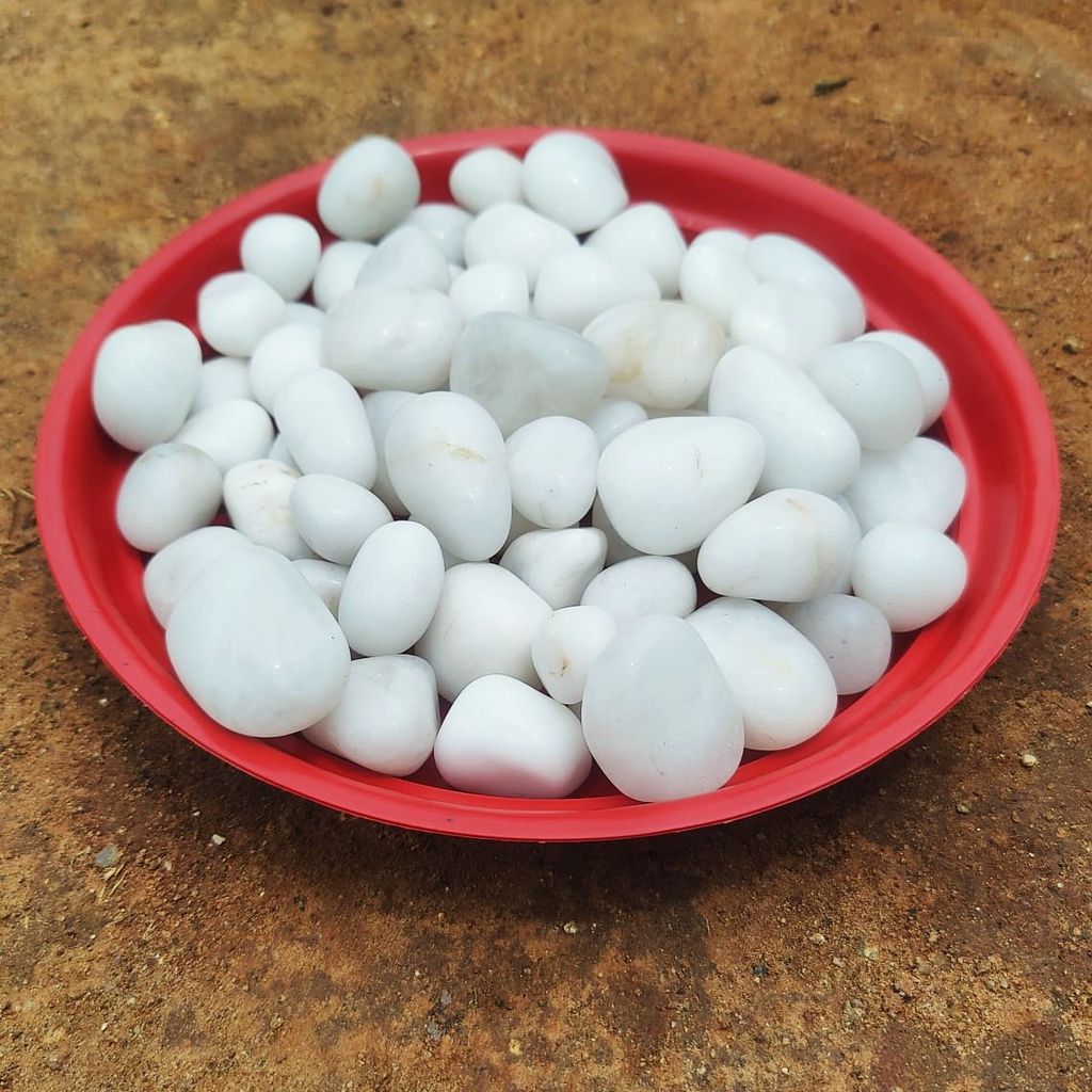 Decorative White Pebbles - 500 Gm Decorative White Pebbles - 500 Gm