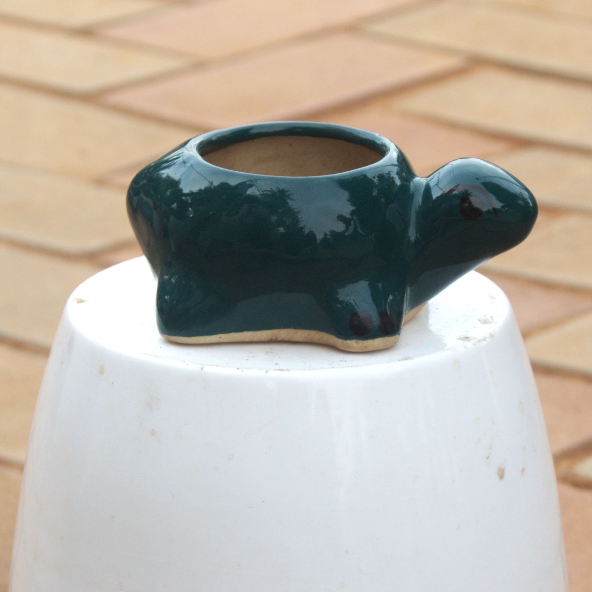 3 Inch Classy Black Turtle Designer Ceramic Pot